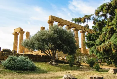 Iconic destination tours