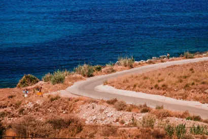 Journey into your roots